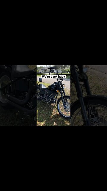 Night Train with Vance and Hines Short Shots #harleydavidson