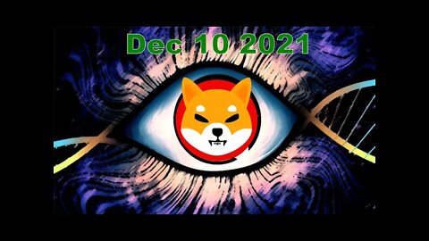 Shiba Inu prediction, upcoming crash, and RV Robinhood adoption?