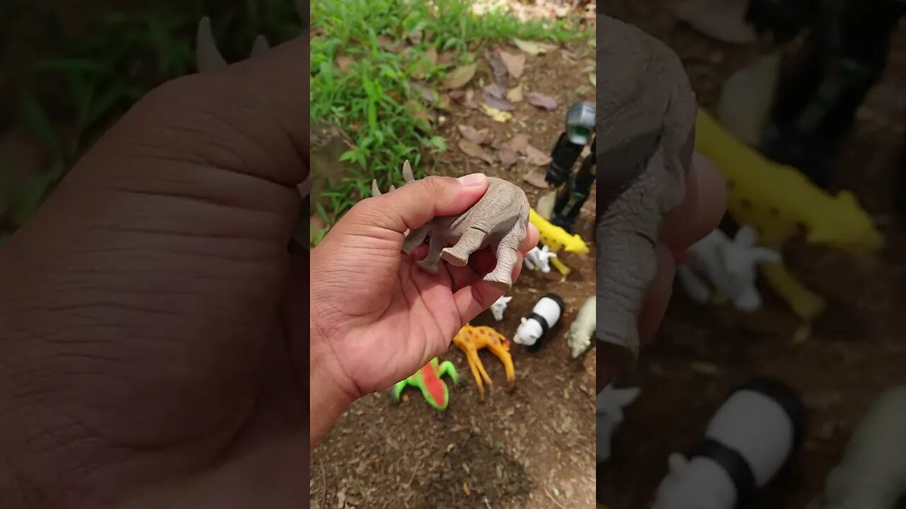 Markipul #shorts #hewanunik #transformers #foryoupage #viral