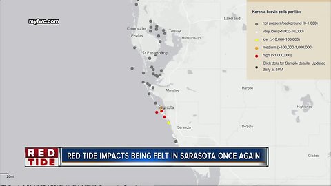 High concentrations of Red Tide returns along Sarasota beaches, according to FWC map