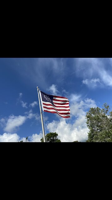 The Free and The Brave