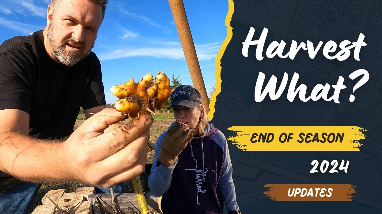 End of Season Harvest | Tiny Home Build TiltedKHomestead | Chicken Coop Mods & Fixes