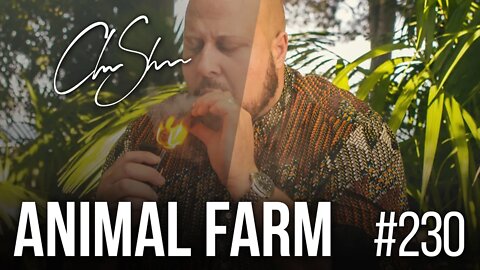 Club shada #230 - Animal Farm | Boddhi Satva