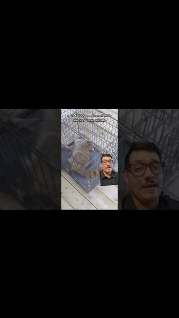 Rabid Beaver attacks Girl in Georgia