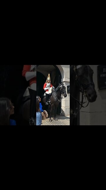 She moved quickly lol 😆 #horseguardsparade