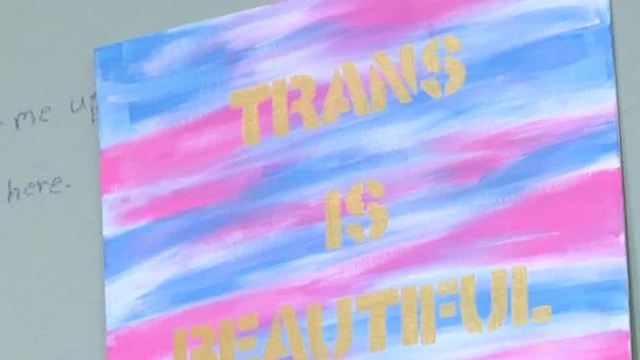 CCSD tackling gender diversity at trustee meeting