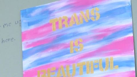 CCSD tackling gender diversity at trustee meeting