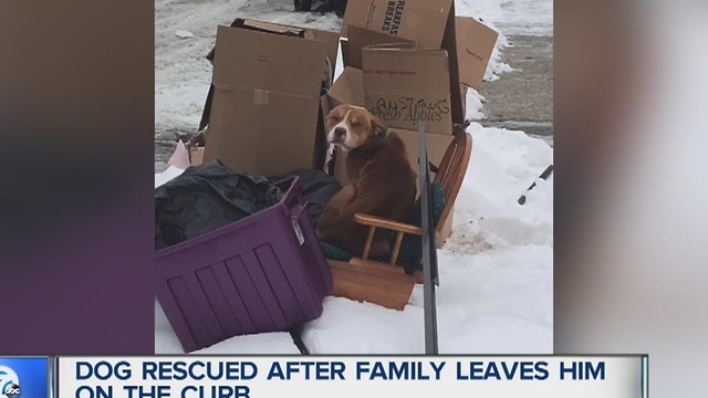 Dog rescued after family leaves him at the curb