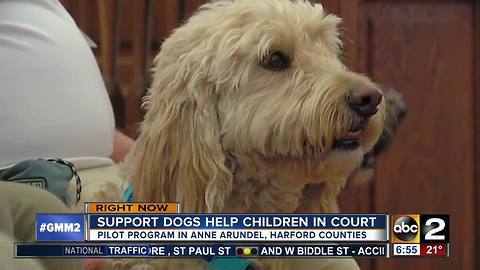 New program allows kids to have supports dogs in court