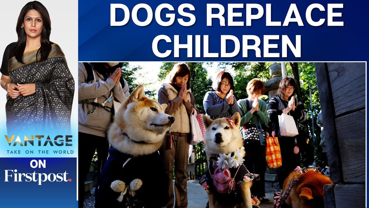 WATCH: When Dogs Got Blessings in Place of Children in Japan | Vantage with Palki Sharma