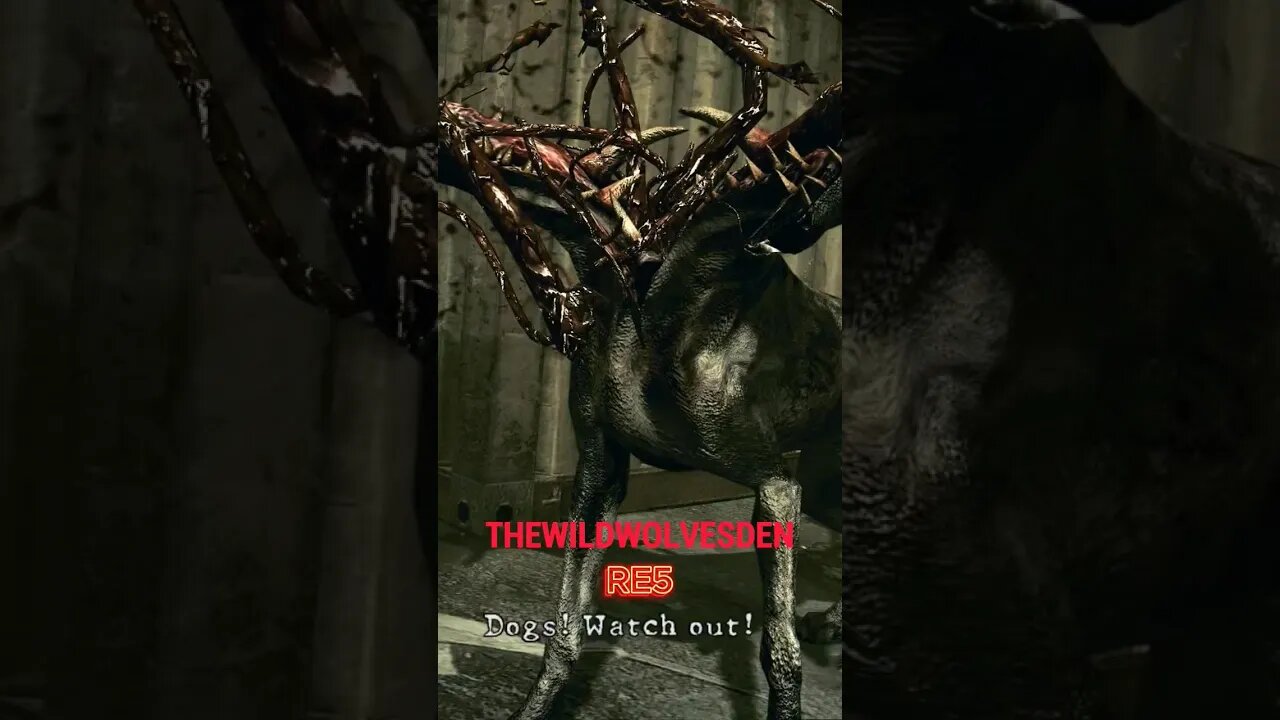 scary dogs 🐕 🤢 #shorts #residentevil #trending #youtube