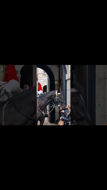 He only wanted a kiss #thekingsguard