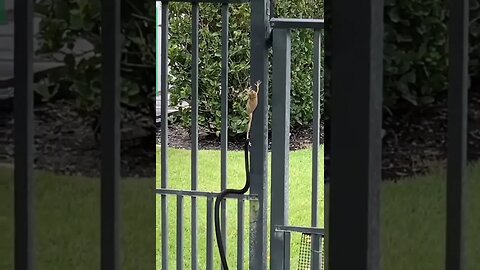 Live footage of me just making it through the day!