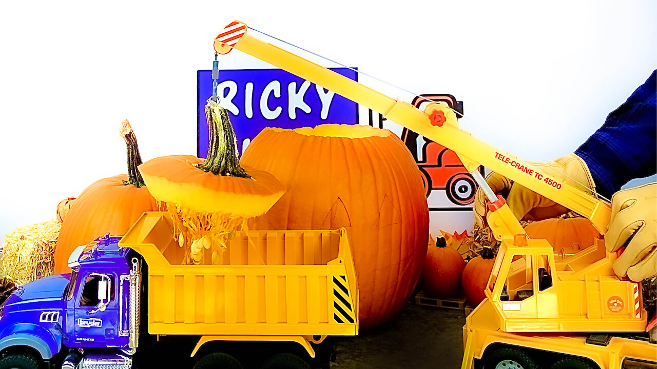 Pumpkin Carving For Kids | Bruder Construction Vehicles | Ricky Rules | Learning Videos For Kids