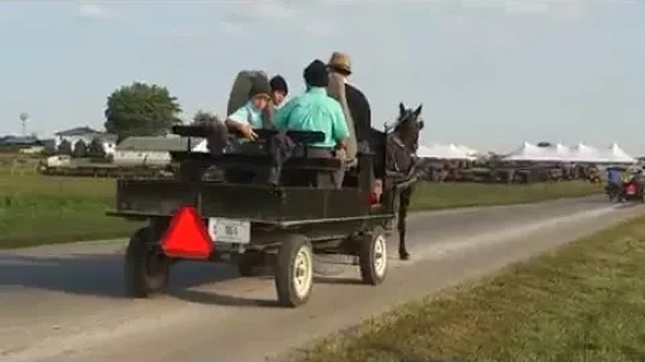 Amish Heading to Auction