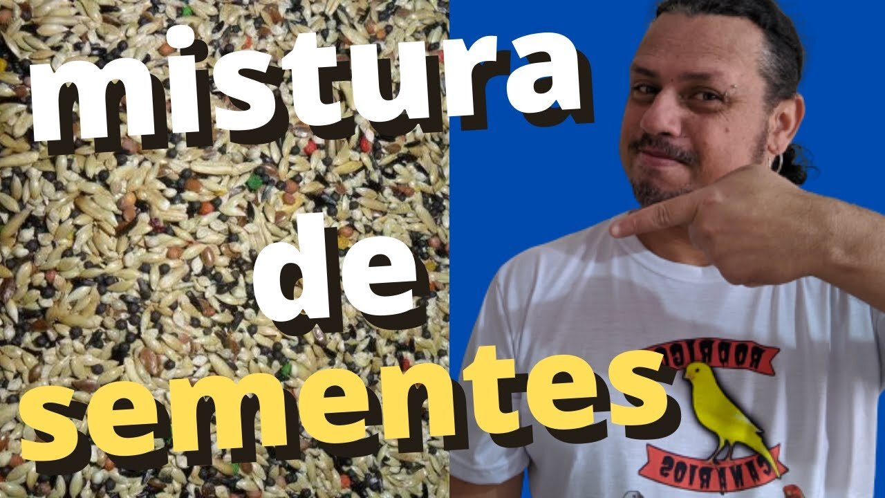 MISTURA DE SEMENTES TOP PARA CANÁRIOS