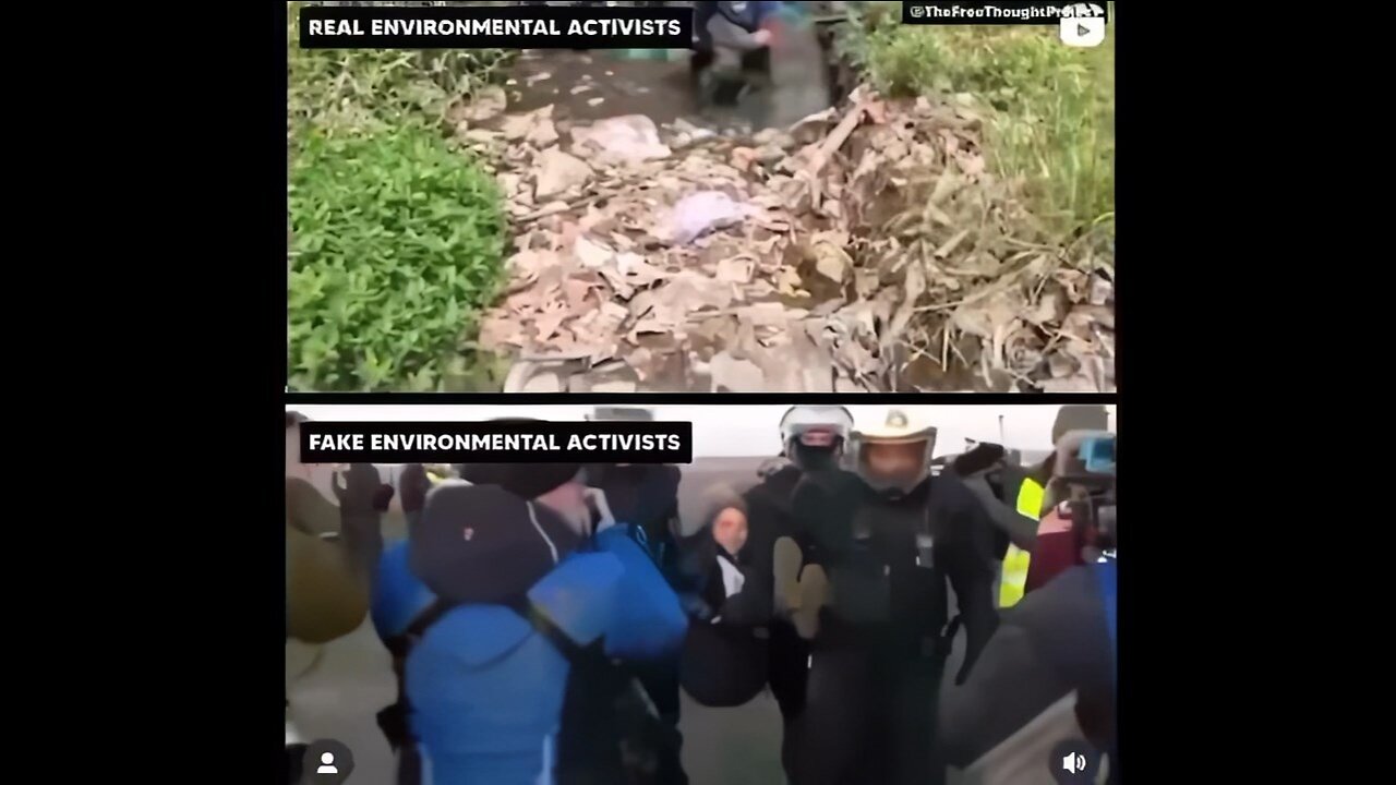 Real Environmental Activists v Fake Environmental Activists