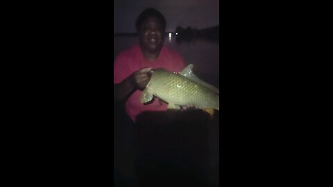 Caught A Carp
