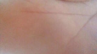 CADA UM TEM O PRESIDENTE QUE MERECE ELBA RAMALHO HUMILHADA POR PETISTAS CANAL HISTORIADOR