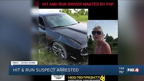 Hit and run suspect arrested