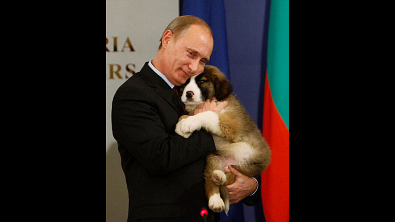 Putin respect moment 😎😎💯💯
