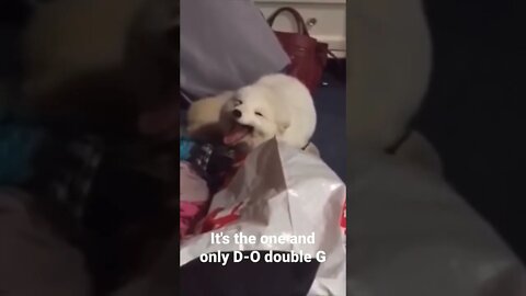 #shorts It's the one and only D-O double G