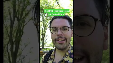 The Most Expensive Trees of Central Park