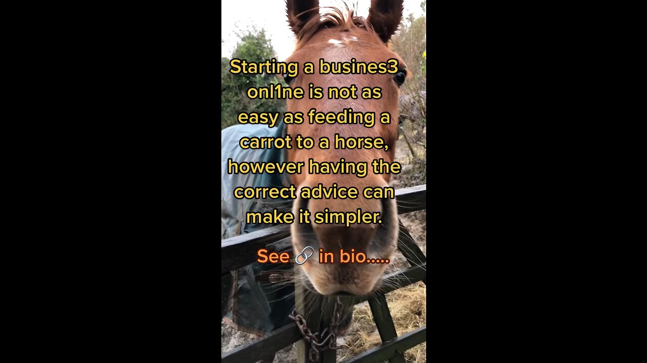 Starting a business is harder than feeding a horse