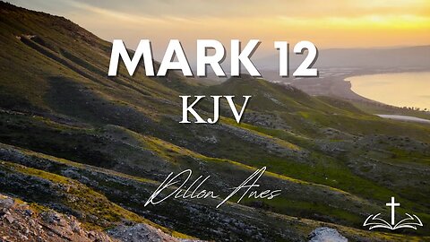 Mark 12 - King James Audio Bible Read by Dillon Awes