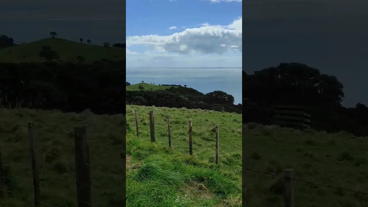 Cactus Bay on Waiheke Island
