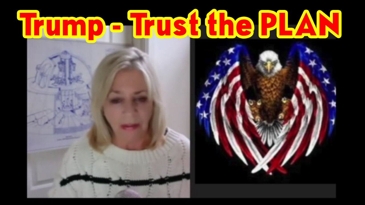 Kerry Cassidy w/ Patriot Underground "Trust the PLAN"