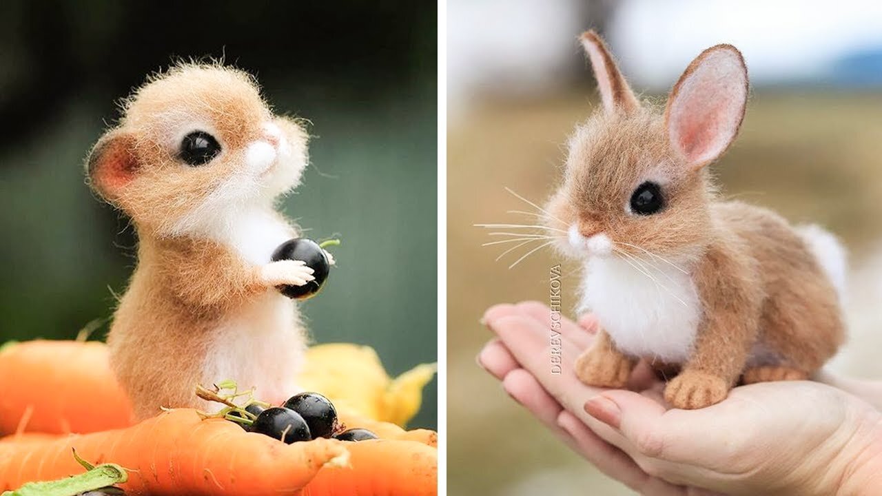 Very Cute animals eating time.