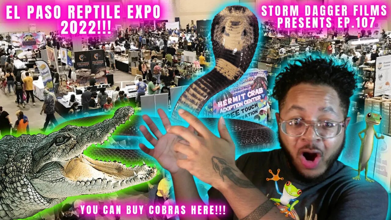 El Paso Reptile Expo 2022 BEST ON YOUTUBE!!!