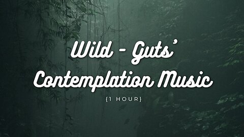 Wild - Guts' Contemplation Music {1 hour}