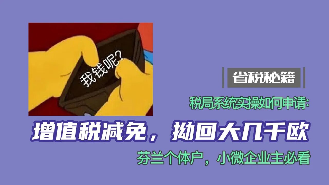 增值税减免,拗回来大几千欧税金|税局系统实操如何申请|个体,小企业主必看| 芬兰省税秘籍