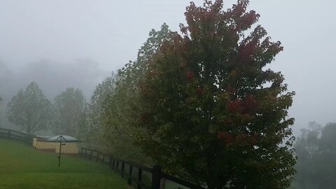 Heaven in the mist