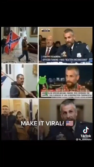 FBI Plant in the CAPITOL was holding a CONFEDERET FLAG , RELEASE the FBI FILES