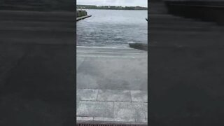 Walk into the ocean
