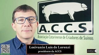 produtores seguem com custos elevados e futuro incerto