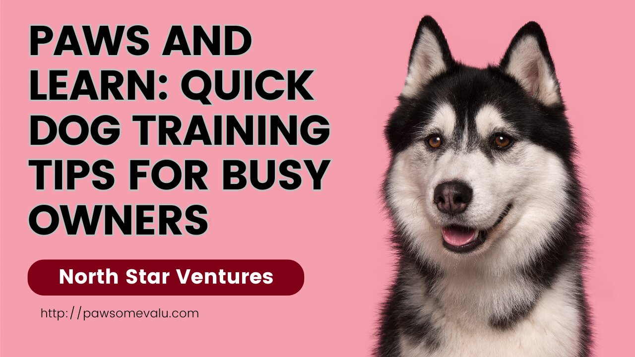 Paws & Learn: Quick Dog Training Tips for Busy Owners