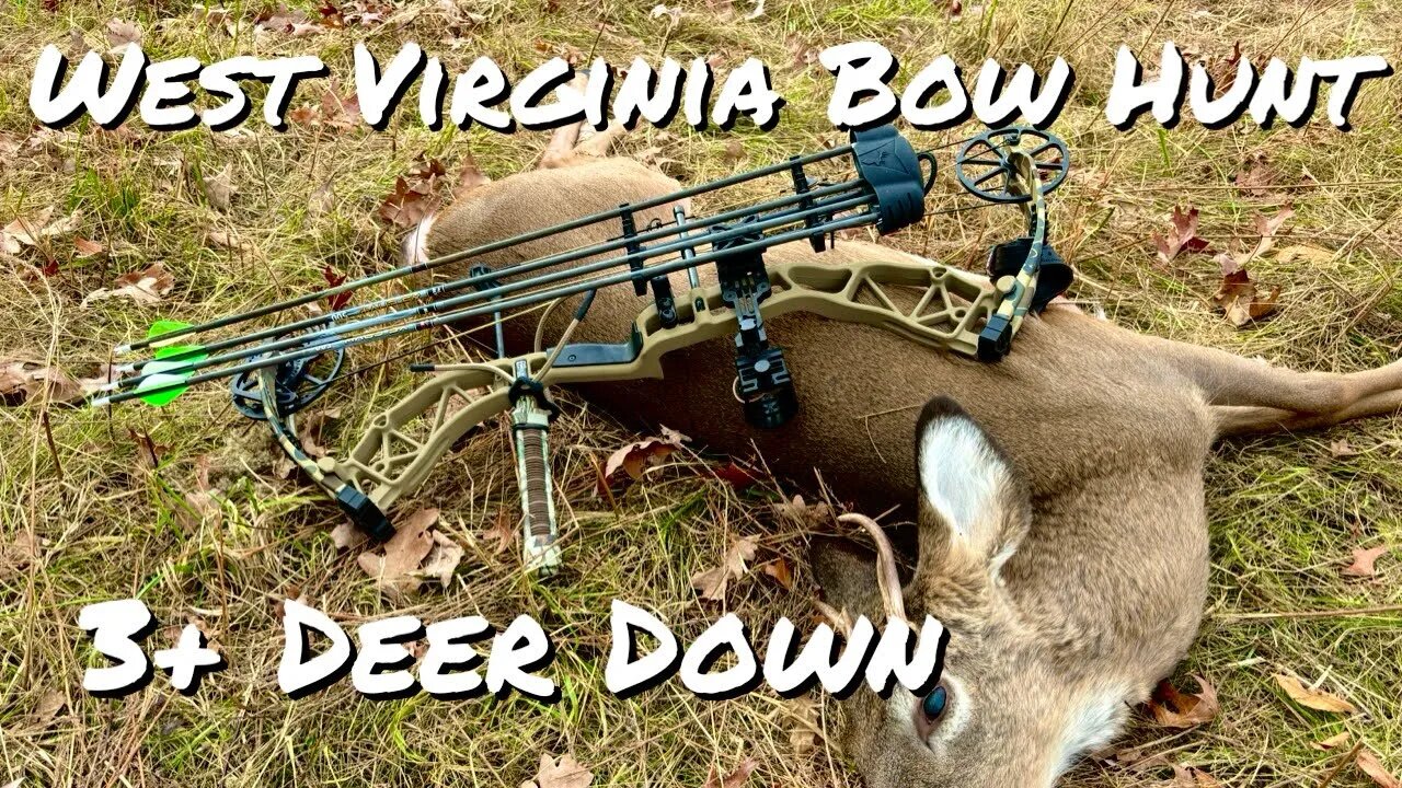 West Virginia White-tail Bow Hunt | 2023 Bow Season