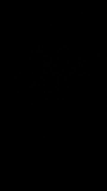 Dan Bongino popularity