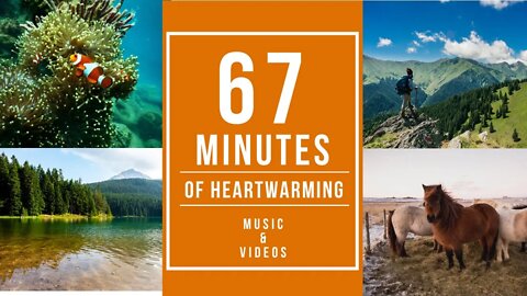 67 Minutes of Heart Moving Instrumental Music and Videos