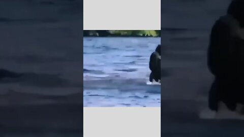 Me on the first warm day in April.. 😂