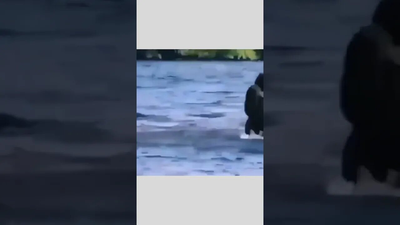 Me on the first warm day in April.. 😂