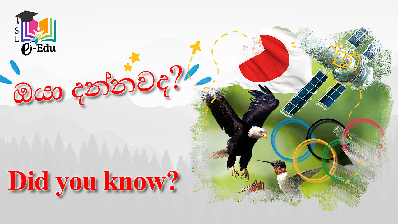 ඔයා දන්නවද? #2 | Did you know? #2 [ENG SUB]