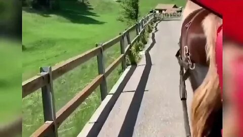 Alpes suizos