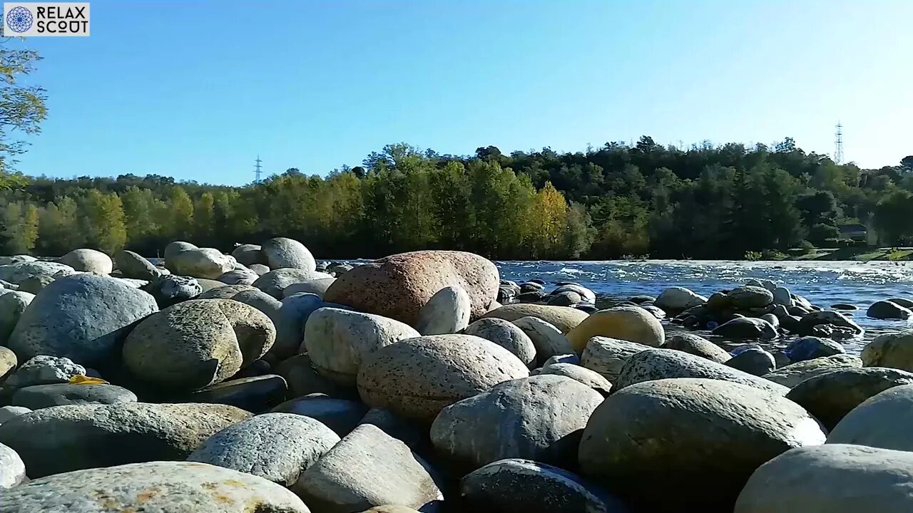 Peaceful Forest River | Water flow through the stone | White Noise for Sleep, Study