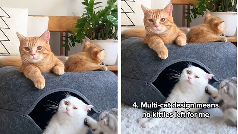 This absolutely not an ads