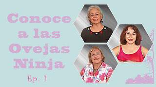 Ep. 1 Conoce a las Ovejas Ninja